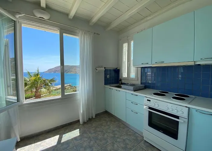 Salty 칼로 리바디